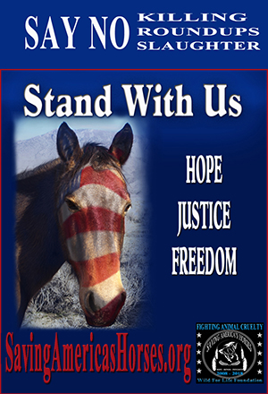 WFLF - Stand with us